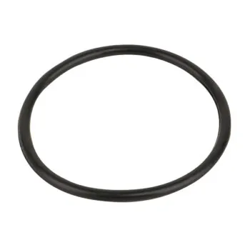Pierścień uszczelniający pokrywy obudowy do zaworu sześciodrogowego Kripsol 1 1/2" RVS013.A/ R1210130.0